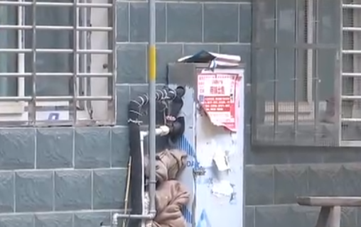 自來水管道保溫電伴熱帶，冬季管道防凍新寵(圖2)